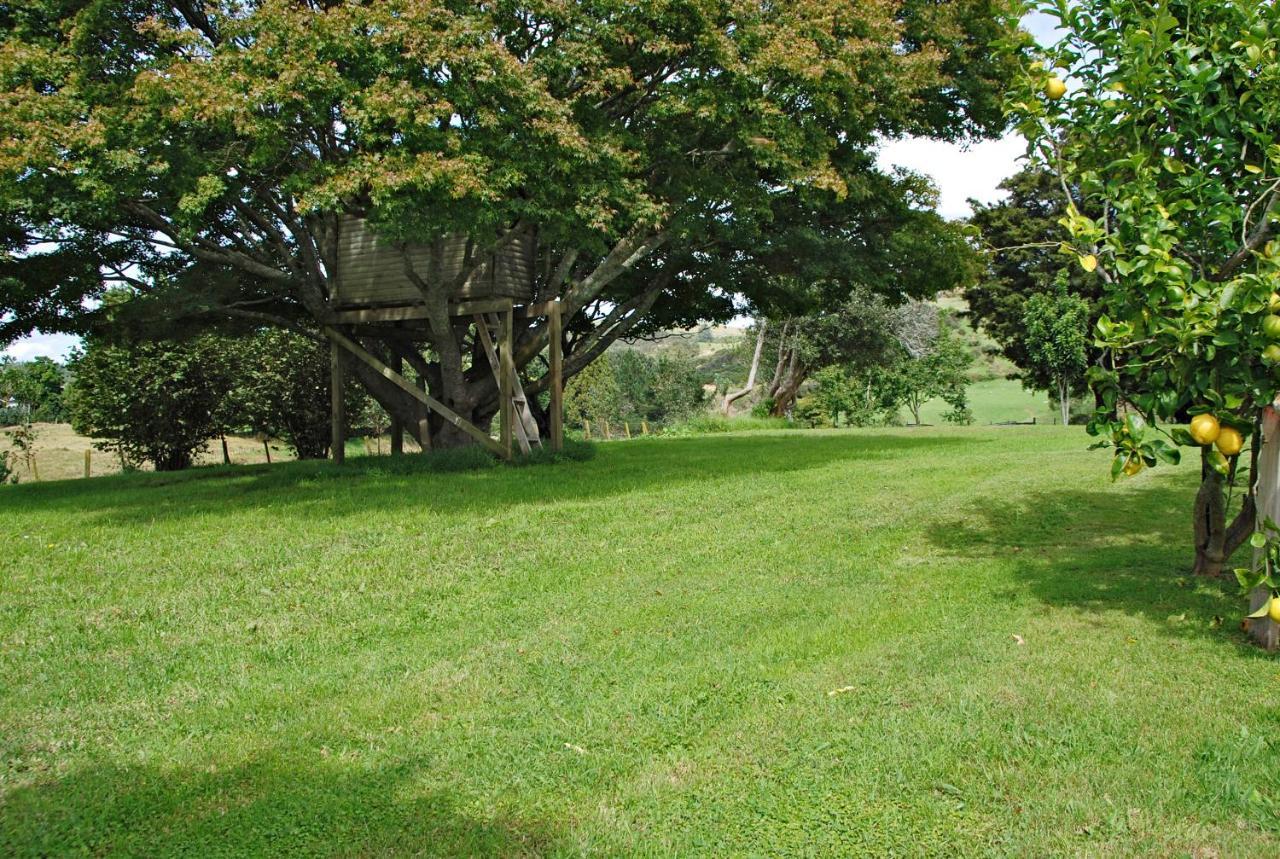 Poripori Homestead Tauranga Kültér fotó